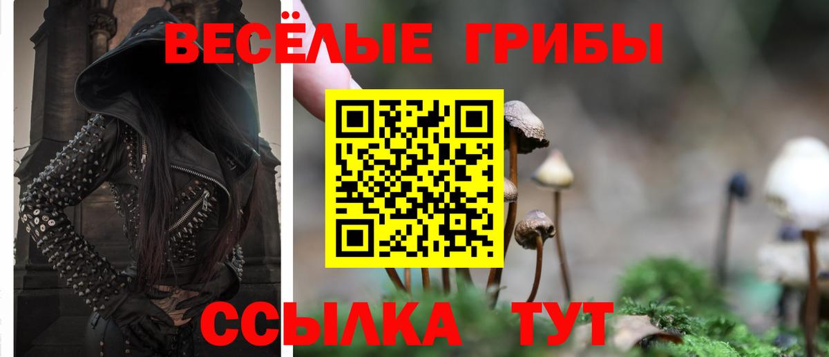 Галлюциногенные грибы прущие грибы Сегежа